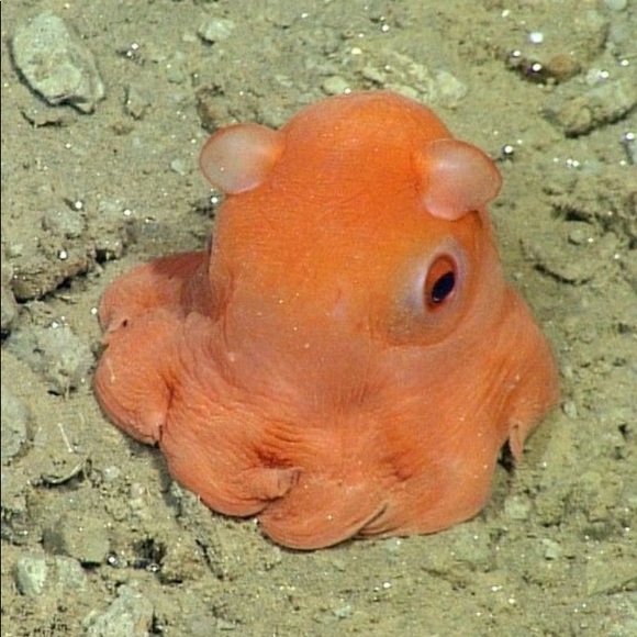 Meet Emilee: Eclectic Posher & Puppy Mom - Picture 4 of 8